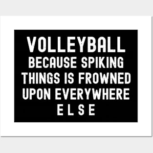 Volleyball Because spiking things is frowned upon everywhere else Posters and Art